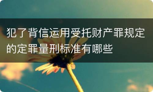 犯了背信运用受托财产罪规定的定罪量刑标准有哪些
