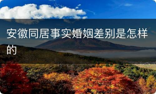 安徽同居事实婚姻差别是怎样的