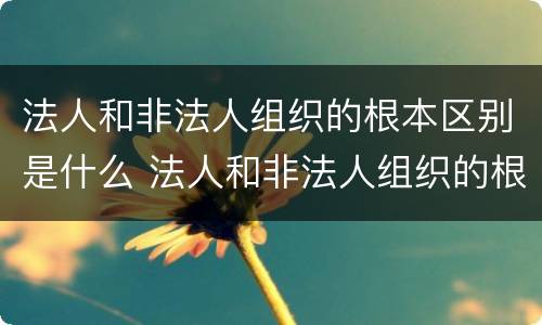 法人和非法人组织的根本区别是什么 法人和非法人组织的根本区别是什么?举例说明