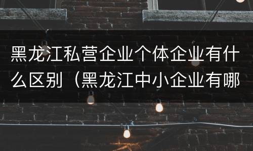 黑龙江私营企业个体企业有什么区别（黑龙江中小企业有哪些）