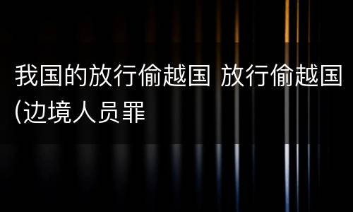 我国的放行偷越国 放行偷越国(边境人员罪
