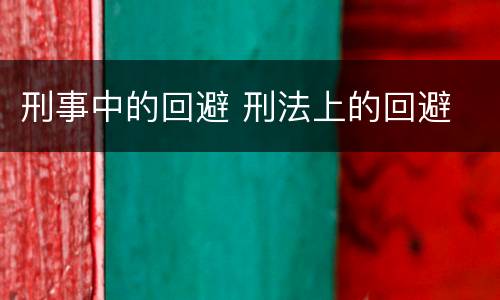 刑事中的回避 刑法上的回避