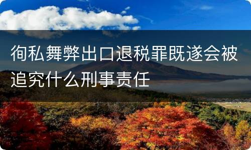 徇私舞弊出口退税罪既遂会被追究什么刑事责任