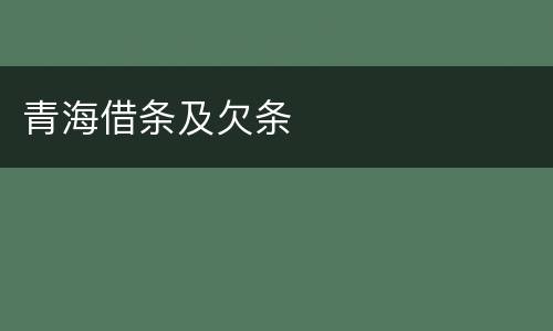 青海借条及欠条