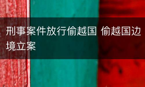 刑事案件放行偷越国 偷越国边境立案