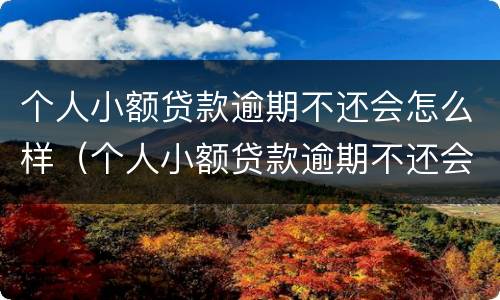 个人小额贷款逾期不还会怎么样（个人小额贷款逾期不还会怎么样吗）