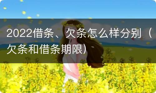 2022借条、欠条怎么样分别（欠条和借条期限）