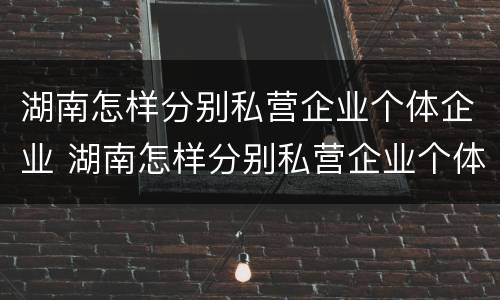 湖南怎样分别私营企业个体企业 湖南怎样分别私营企业个体企业呢