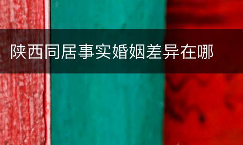 陕西同居事实婚姻差异在哪