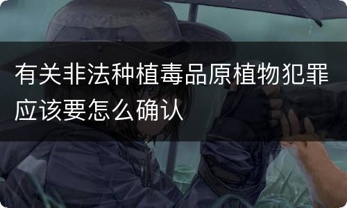 有关非法种植毒品原植物犯罪应该要怎么确认