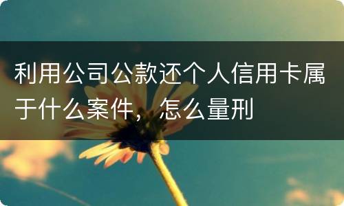 利用公司公款还个人信用卡属于什么案件，怎么量刑
