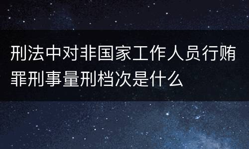 刑法中对非国家工作人员行贿罪刑事量刑档次是什么