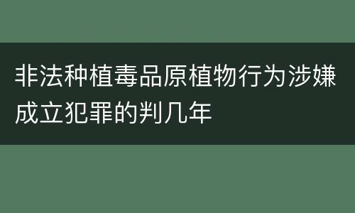 非法种植毒品原植物行为涉嫌成立犯罪的判几年