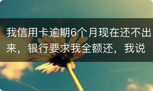 我信用卡逾期6个月现在还不出来，银行要求我全额还，我说分期还，银行不接受