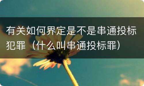 有关如何界定是不是串通投标犯罪（什么叫串通投标罪）