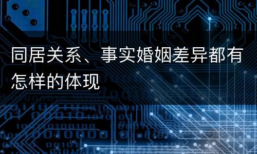同居关系、事实婚姻差异都有怎样的体现