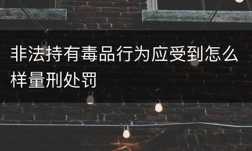 非法持有毒品行为应受到怎么样量刑处罚