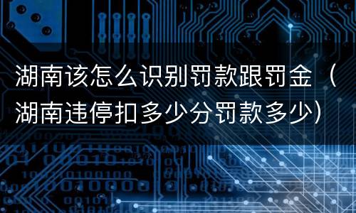 湖南该怎么识别罚款跟罚金（湖南违停扣多少分罚款多少）