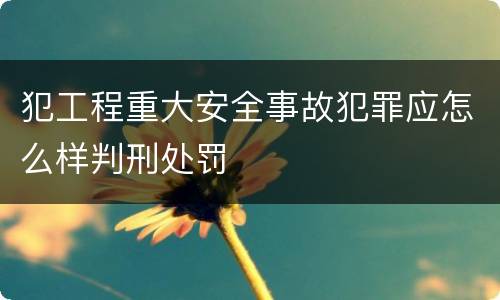 犯工程重大安全事故犯罪应怎么样判刑处罚