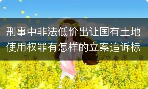 刑事中非法低价出让国有土地使用权罪有怎样的立案追诉标准