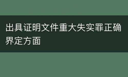 出具证明文件重大失实罪正确界定方面