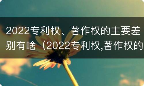 2022专利权、著作权的主要差别有啥（2022专利权,著作权的主要差别有啥）