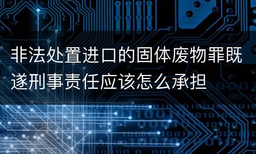 非法处置进口的固体废物罪既遂刑事责任应该怎么承担