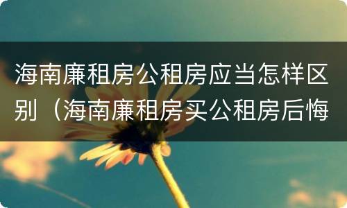 海南廉租房公租房应当怎样区别（海南廉租房买公租房后悔了）