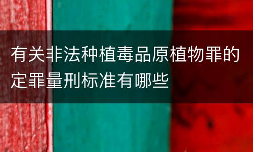 有关非法种植毒品原植物罪的定罪量刑标准有哪些