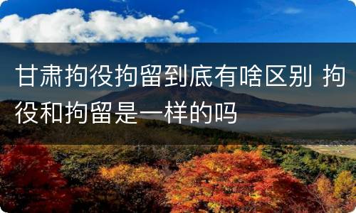 甘肃拘役拘留到底有啥区别 拘役和拘留是一样的吗