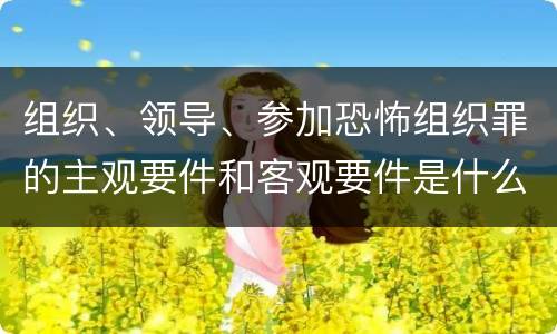 组织、领导、参加恐怖组织罪的主观要件和客观要件是什么