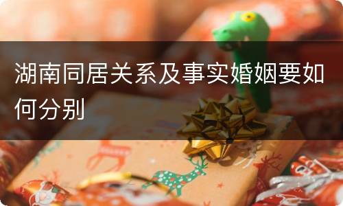 湖南同居关系及事实婚姻要如何分别