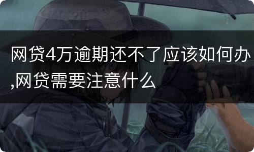 网贷4万逾期还不了应该如何办,网贷需要注意什么