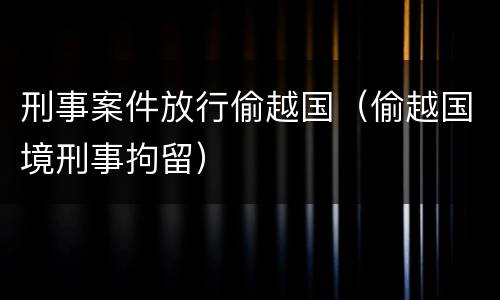 刑事案件放行偷越国（偷越国境刑事拘留）