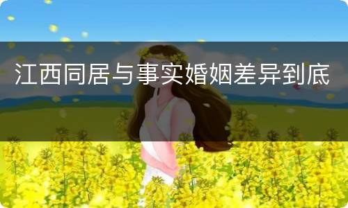 江西同居与事实婚姻差异到底