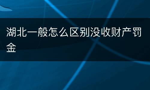 湖北一般怎么区别没收财产罚金