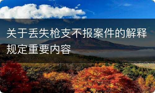 关于丢失枪支不报案件的解释规定重要内容