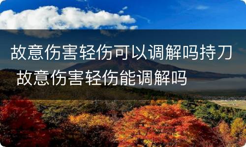 故意伤害轻伤可以调解吗持刀 故意伤害轻伤能调解吗