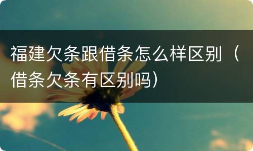 福建欠条跟借条怎么样区别（借条欠条有区别吗）