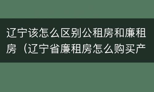 辽宁该怎么区别公租房和廉租房（辽宁省廉租房怎么购买产权）