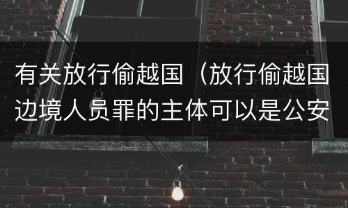 有关放行偷越国（放行偷越国边境人员罪的主体可以是公安民警吗）