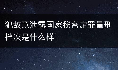 犯故意泄露国家秘密定罪量刑档次是什么样