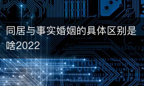 同居与事实婚姻的具体区别是啥2022