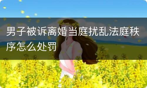 男子被诉离婚当庭扰乱法庭秩序怎么处罚