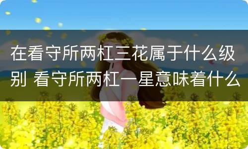 在看守所两杠三花属于什么级别 看守所两杠一星意味着什么