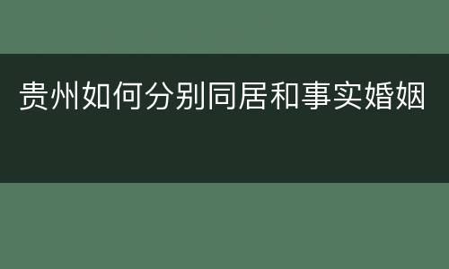 贵州如何分别同居和事实婚姻