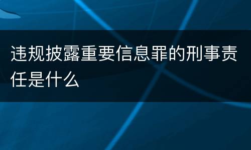 违规披露重要信息罪的刑事责任是什么