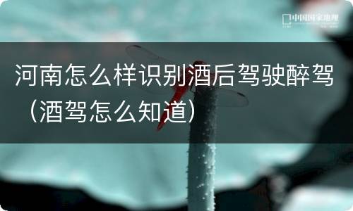 河南怎么样识别酒后驾驶醉驾（酒驾怎么知道）