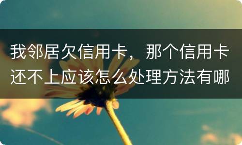 我邻居欠信用卡，那个信用卡还不上应该怎么处理方法有哪些的啊