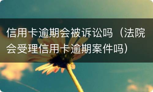 信用卡逾期会被诉讼吗（法院会受理信用卡逾期案件吗）